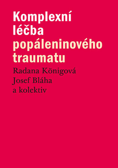 Obrázok Komplexní léčba popáleninového traumatu