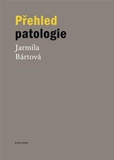 Obrázok Přehled patologie