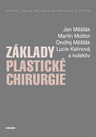 Obrázok Základy plastické chirurgie