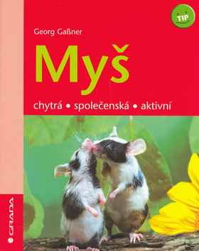 Obrázok Myš - Chytrá,společenská,aktivní