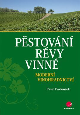 Obrázok Pěstování révy vinné - Moderní vinohradnictví