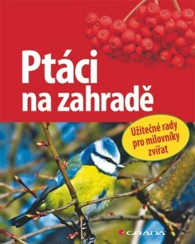 Obrázok Ptáci na zahradě - Užitečné rady pro milovníky přírody