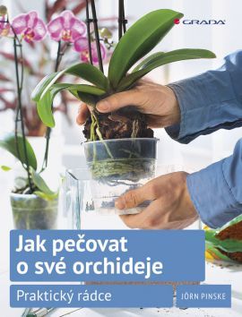 Obrázok Jak pečovat o své orchideje - Praktický rádce