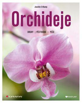 Obrázok Orchideje - Druhy, pěstování, péče