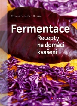 Obrázok Fermentace - Recepty na domácí kvašení