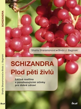 Obrázok Schizandra - Plod pěti živlů. Léčivá rostlina s povzbuzujícími účinky pro dobré zdraví