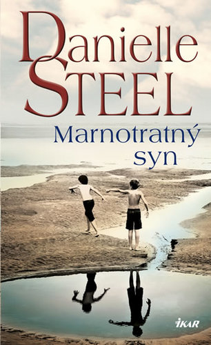 Obrázok Marnotratný syn