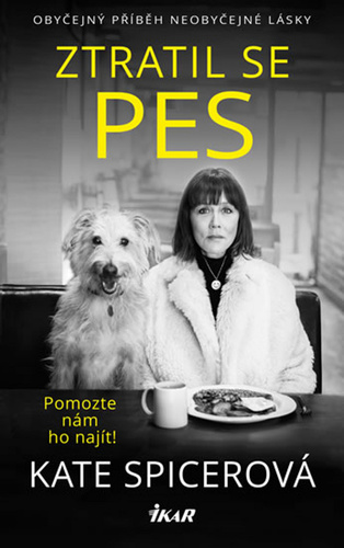 Obrázok Ztratil se pes