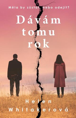 Obrázok Dávám tomu rok