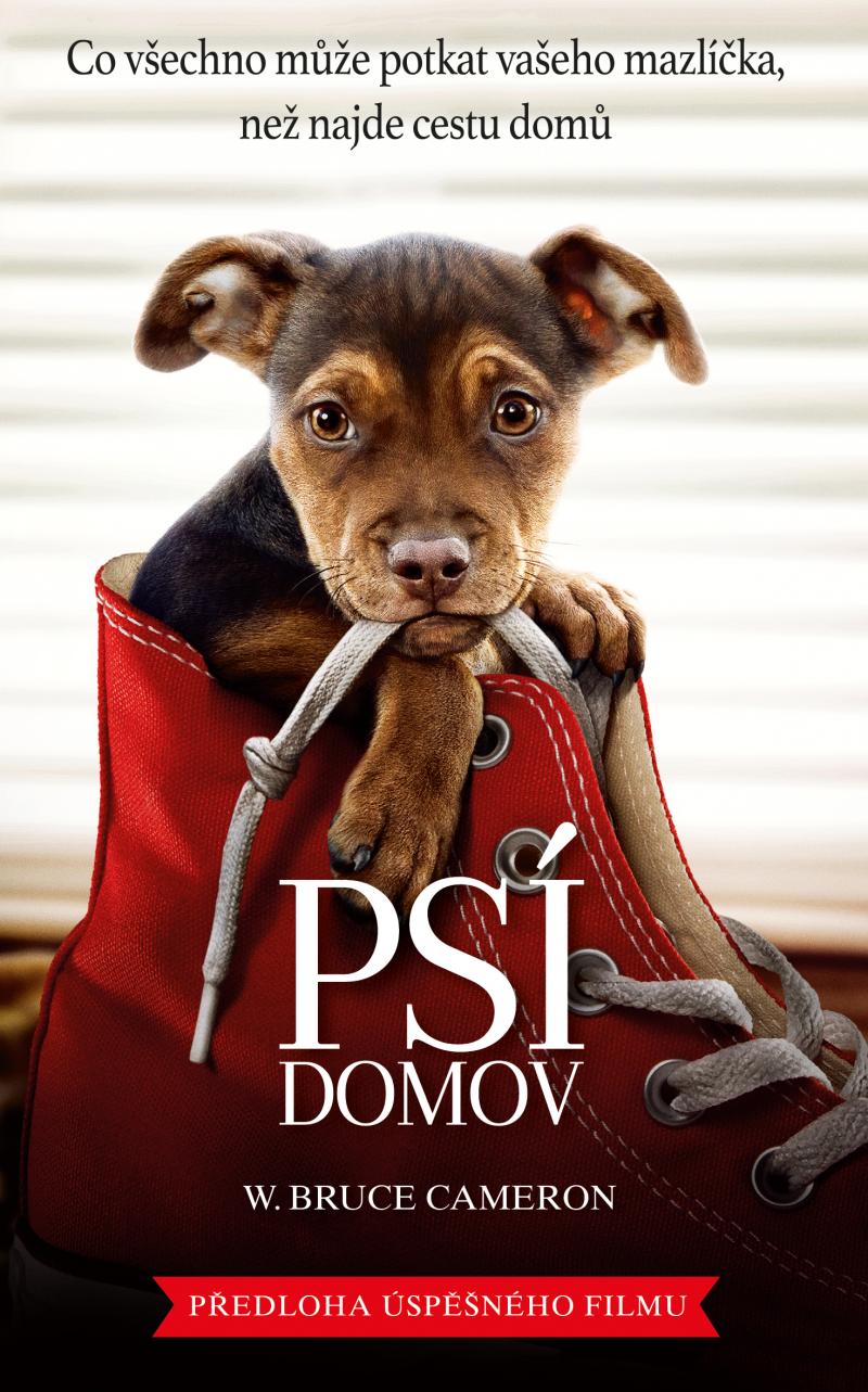 Obrázok Psí domov