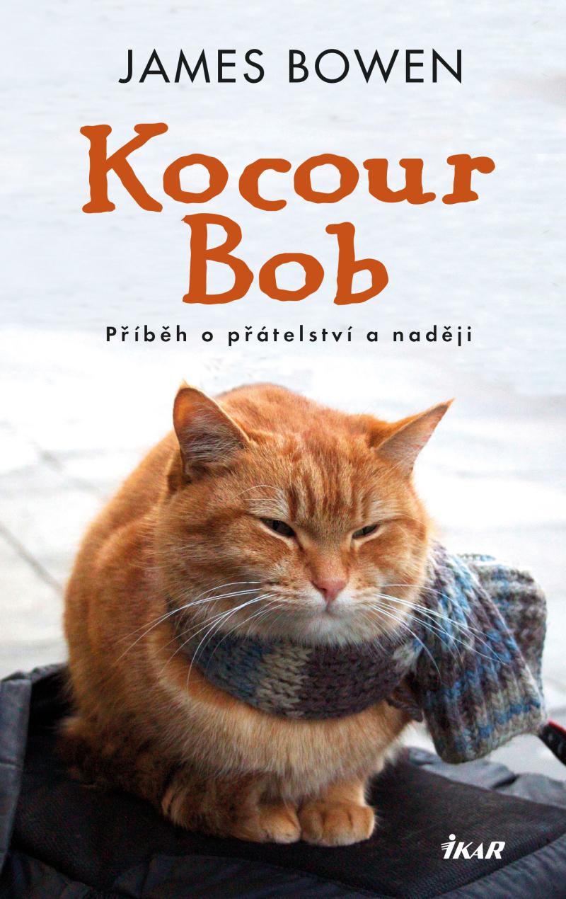 Obrázok Kocour Bob