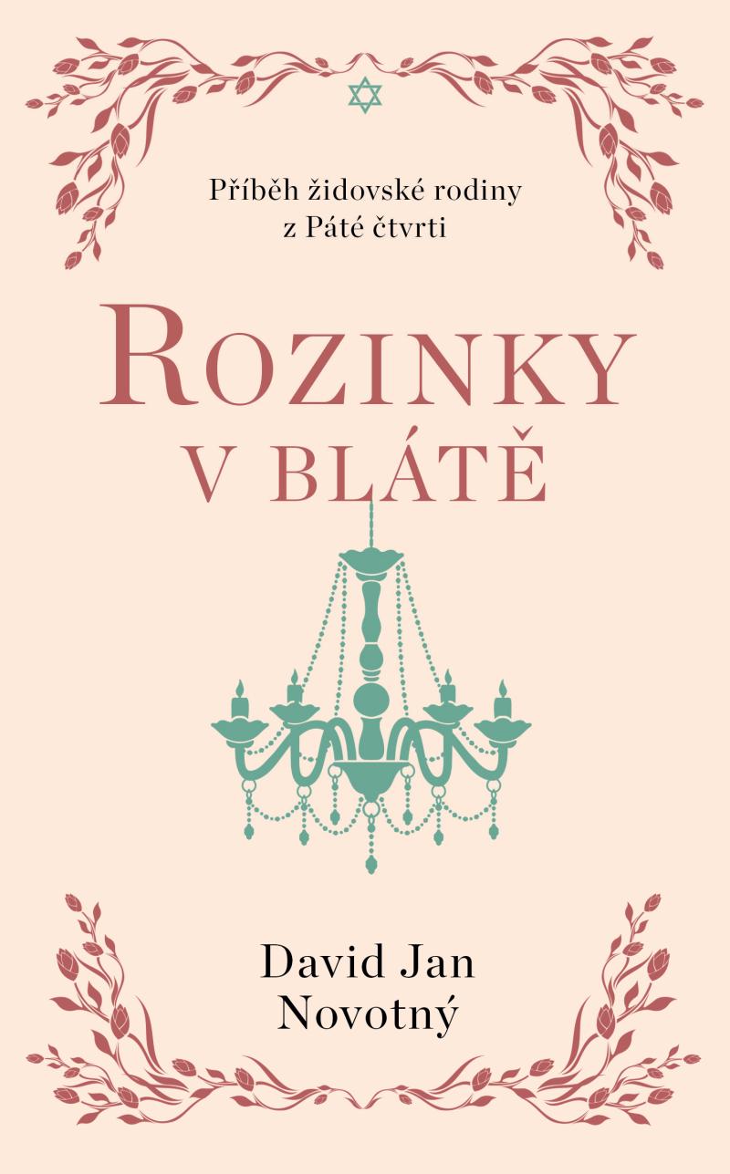 Obrázok Rozinky v blátě - Dva tucty střepů