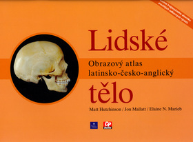 Obrázok Lidské tělo