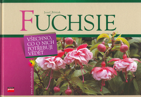 Obrázok Fuchsie