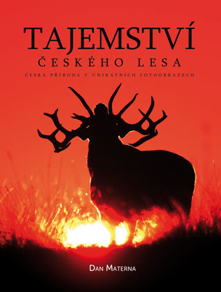 Obrázok Tajemství českého lesa