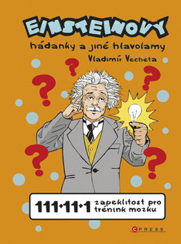 Obrázok Einsteinovy hádanky a jiné hlavolamy