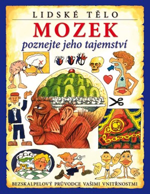 Obrázok Mozek