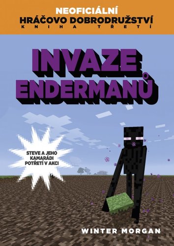 Obrázok Invaze Endermanů