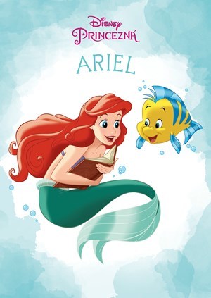 Obrázok Princezná - Ariel