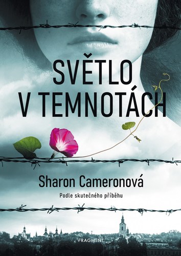 Obrázok Světlo v temnotách