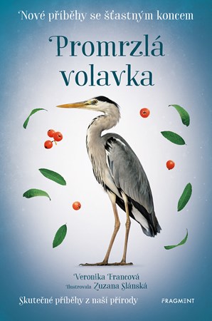 Obrázok Nové příběhy se šťastným koncem – Promrzlá volavka 