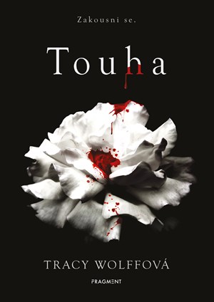 Obrázok Touha