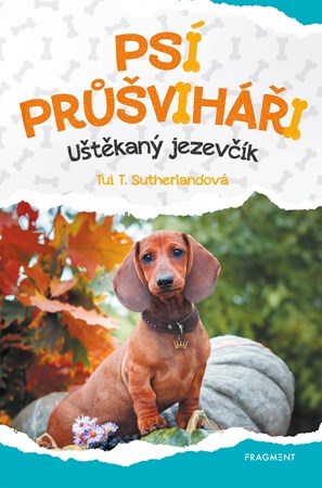 Obrázok Psí průšviháři - Uštěkaný  jezevčík 