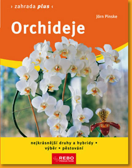 Obrázok Orchideje - Zahrada plus