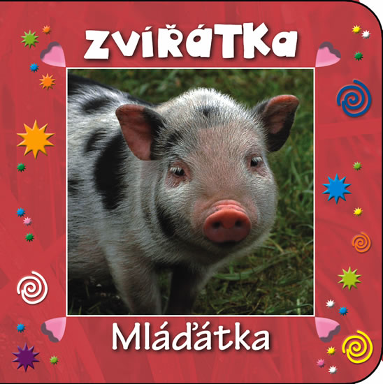 Obrázok Zvířátka - Mláďátka