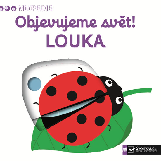 Obrázok MiniPEDIE Objevujeme svět! Louka