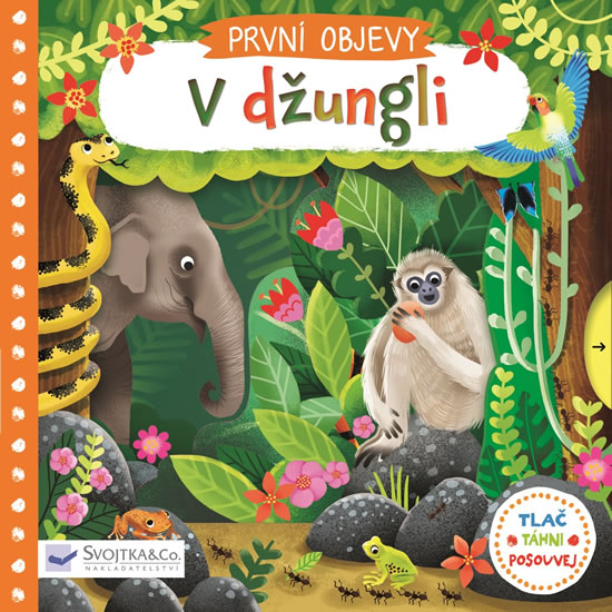 Obrázok V džungli - První objevy