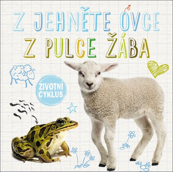 Obrázok Z jehně ovce, z pulce žába - Životní cyklus