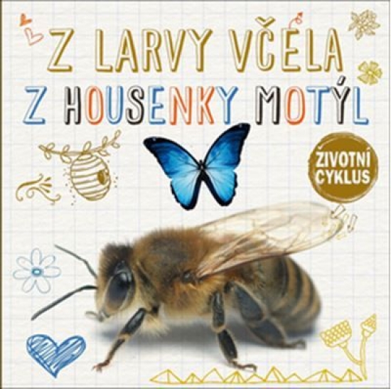 Obrázok Z larvy včela, z housenky motýl - Životní cyklus