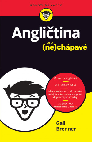 Obrázok Angličtina pro nechápavé