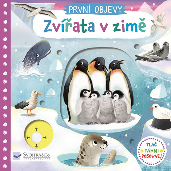 Obrázok Zvířata v zimě - První objevy