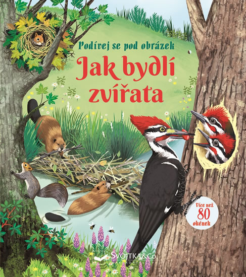 Obrázok Jak bydlí zvířata - Podívej se pod obrázek