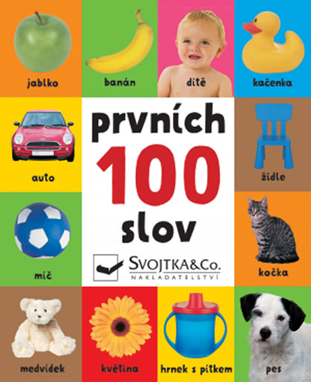 Obrázok Prvních 100 slov