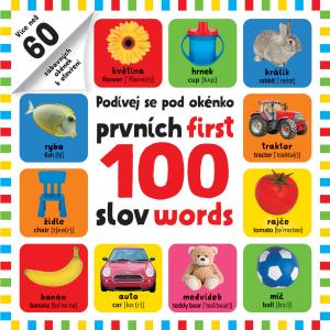 Obrázok Prvních 100 slov / First 100 words - Podívej se pod obrázek