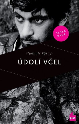 Obrázok Údolí včel