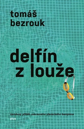 Obrázok Delfín z louže