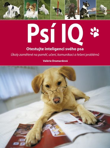 Obrázok Psí IQ