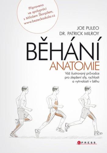 Obrázok Běhání - anatomie