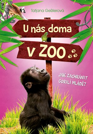 Obrázok U nás doma v ZOO: Jak zachránit gorilí mládě?