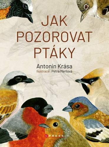 Obrázok Jak pozorovat ptáky