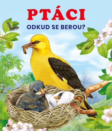 Obrázok Ptáci