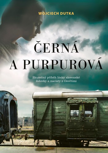 Obrázok Černá a purpurová
