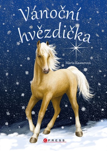 Obrázok Vánoční hvězdička