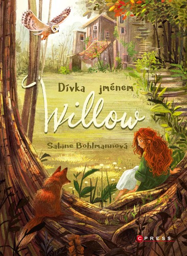 Obrázok Dívka jménem Willow