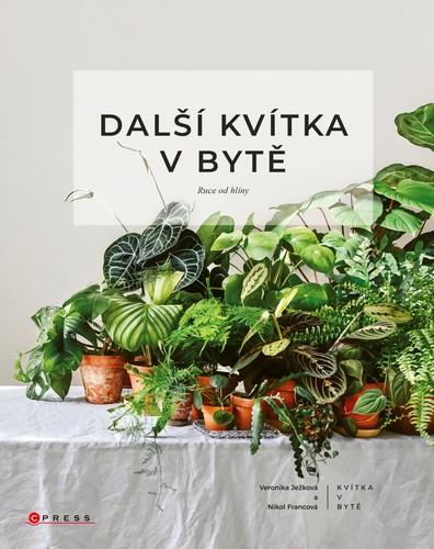 Obrázok Další kvítka v bytě: Ruce od hlíny