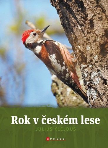 Obrázok Rok v českém lese